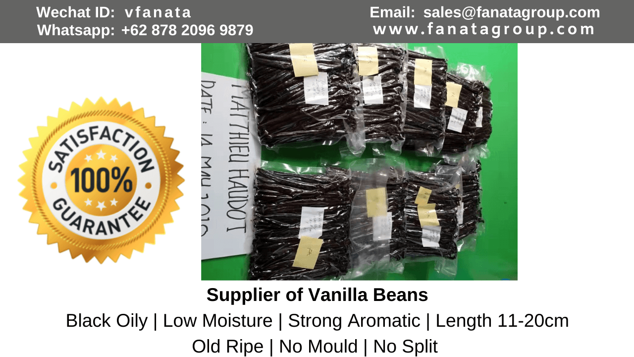 tahitian vanilla bean suppliers canada planifolia vanilla, uk, us, saudi, UAE