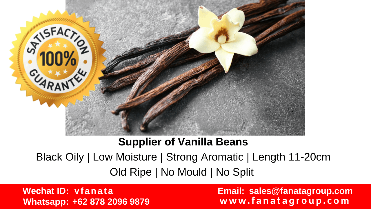 Tahitian vanilla beans for sale Planifolia Singapore China Korea Japan