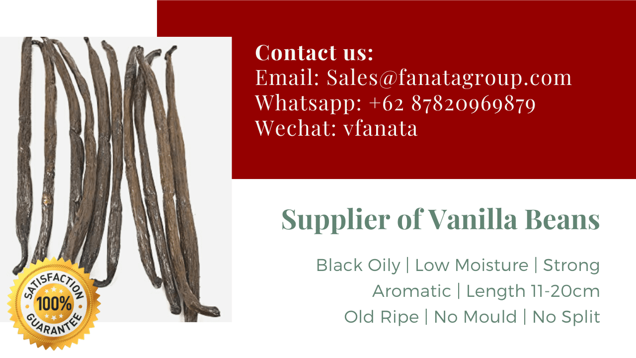Indonesia Vanilla beans factory supplier seller India Thailand Australia