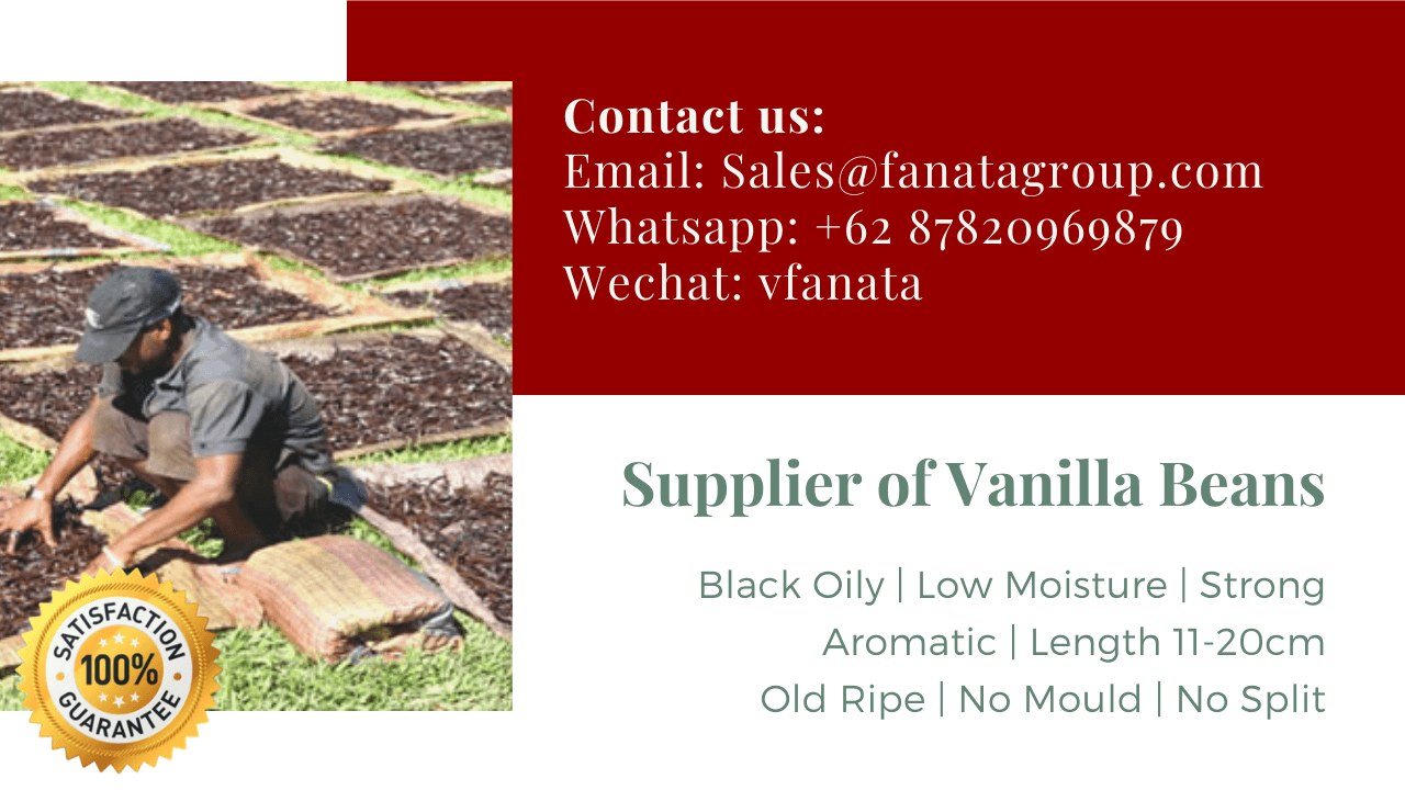 cheap vanilla beans supplier PNG Good quality factory standard