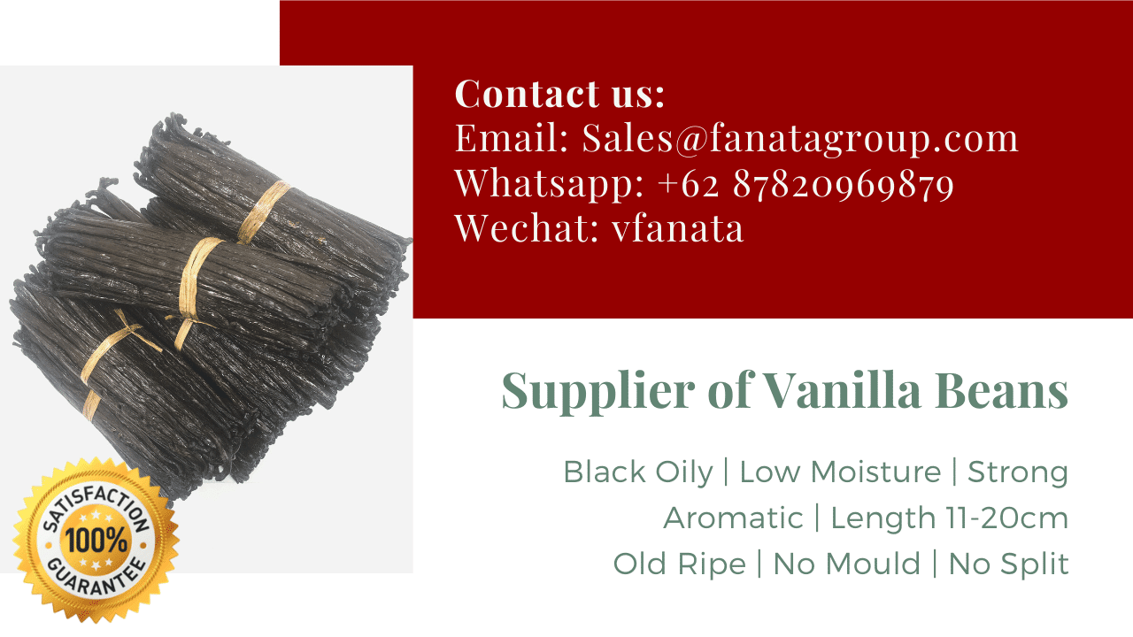 Discount vanilla beans supplier stock factory price vanilla flavor