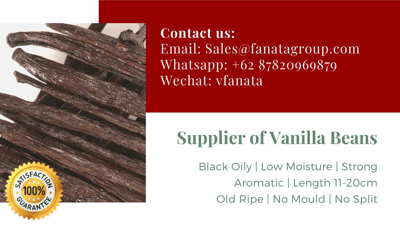 factory price vanilla bean extract dried moist vanilla beans supplier