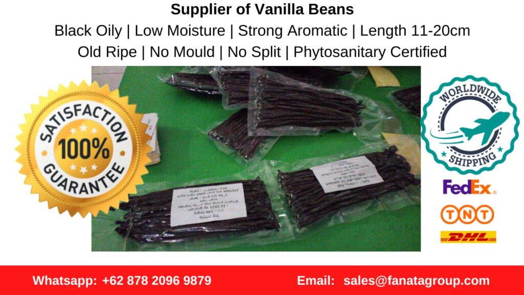 Indonesia Tahitian and Planifolia Vanilla Bean Wholesale Supplier